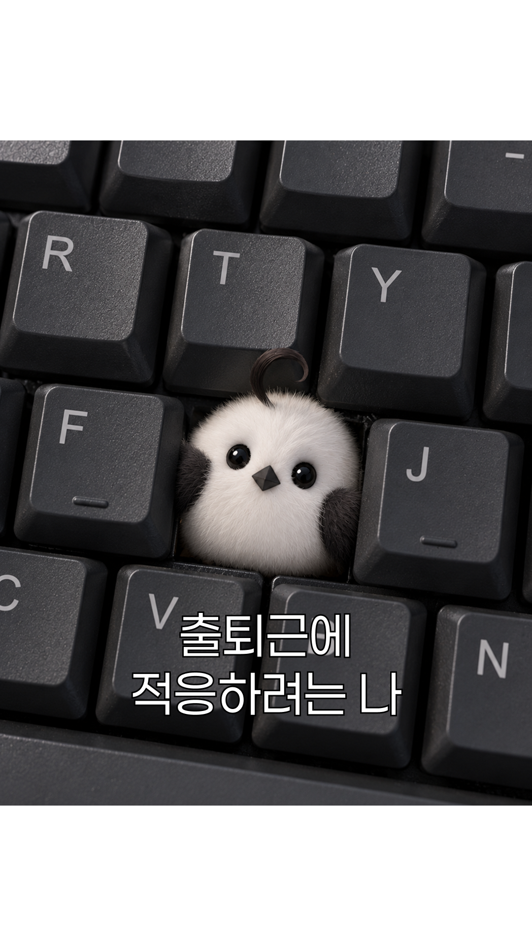 출퇴근에 적응하려 키보드 사이에 들어간 뱁또